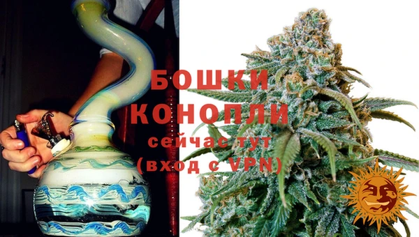 мяу мяу мука Дмитриев