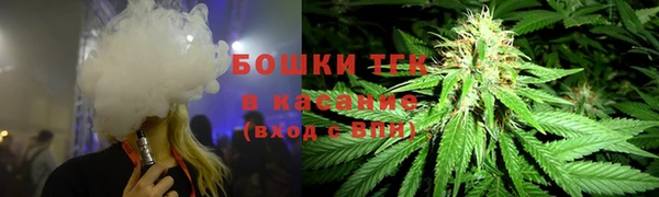 бошки Дмитров