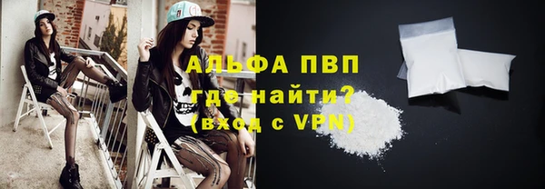 стаф Дмитровск