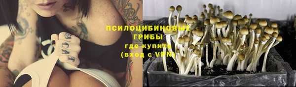 стаф Дмитровск