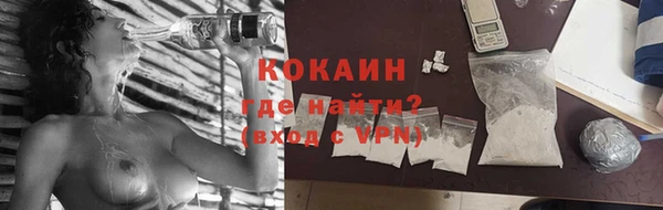 бошки Дмитров