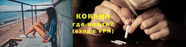 стаф Дмитровск