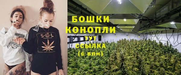 стаф Дмитровск