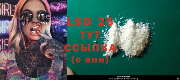 мяу мяу мука Дмитриев