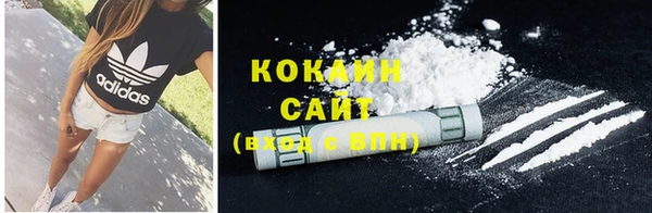 бошки Дмитров